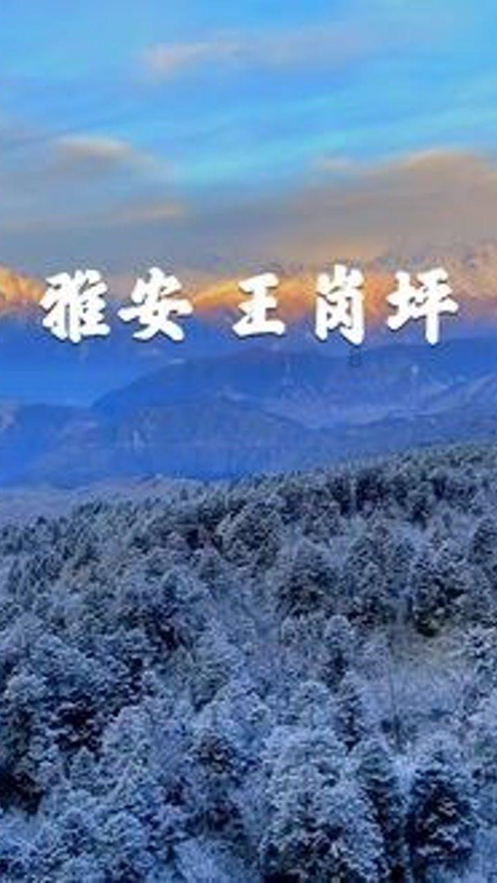 一月份的黄道吉日有问必答平台-全网最强问答网站